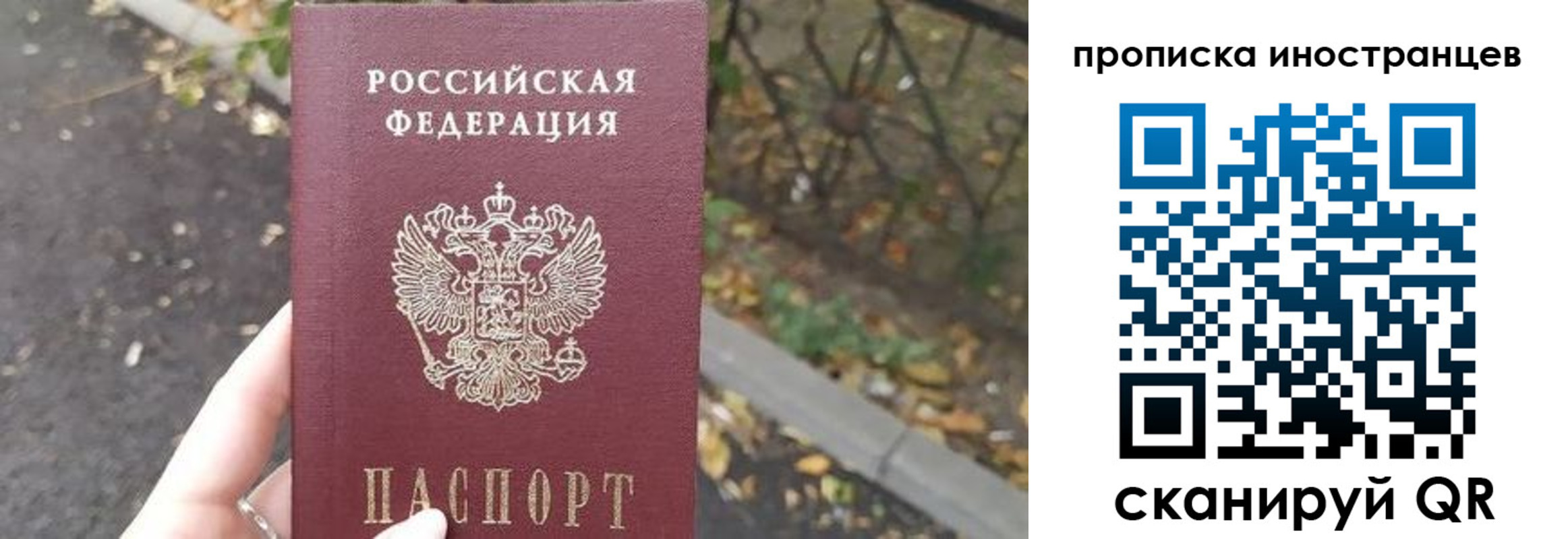 прописка паспорт в Добрянке